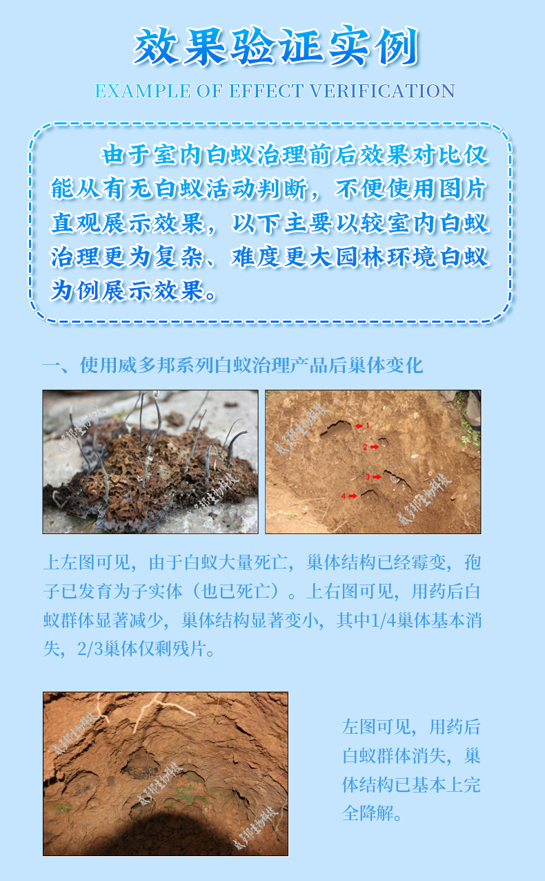 強(qiáng)力誘殺管_11.jpg