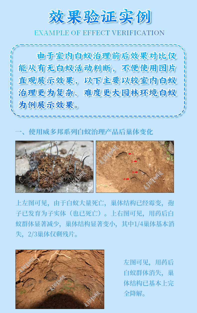 八味強(qiáng)力白蟻誘殺塊_11.jpg