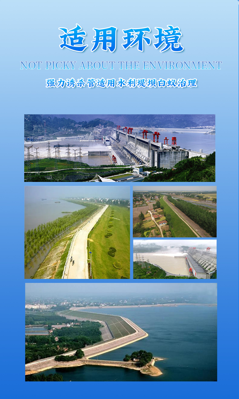 強(qiáng)力誘殺管_06.jpg